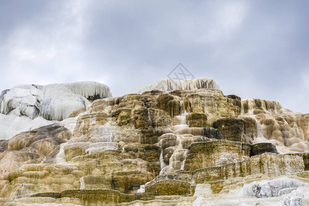 在黄石公园的Mammoth温泉中图片