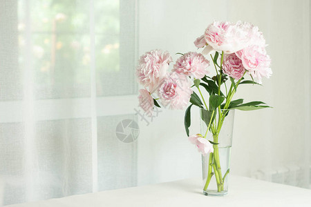玻璃花瓶里的粉色牡丹白色桌子上的鲜花晨光在房间里用于目录或在线商店的美丽牡丹花店图片