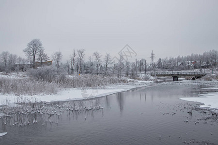 河上的冬季景观雪景图雪和河阴图片