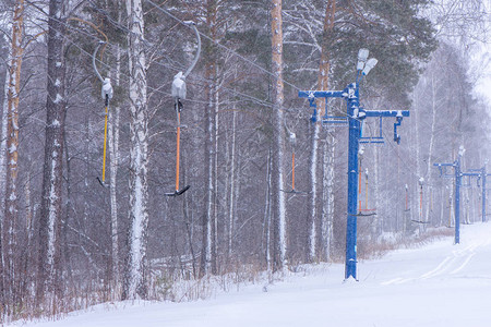 冬季在西伯利亚雪山上为滑雪者和单板滑雪者图片