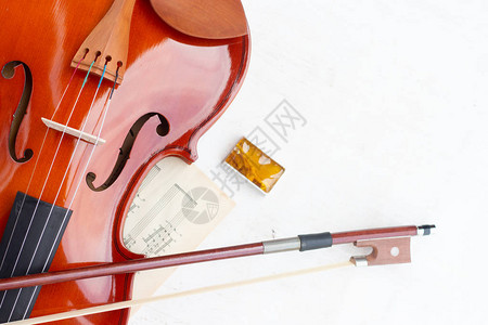 小提琴弓和玫瑰的一部分孤立图片