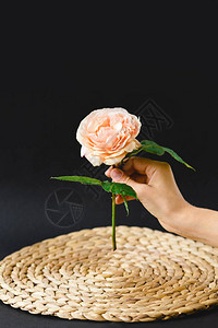 花瓶中的花朵玫瑰在大自图片