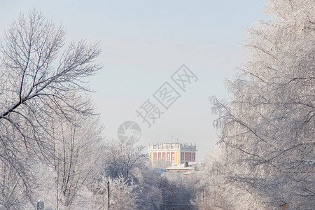 在一个小镇的白雪小街上冬天树图片