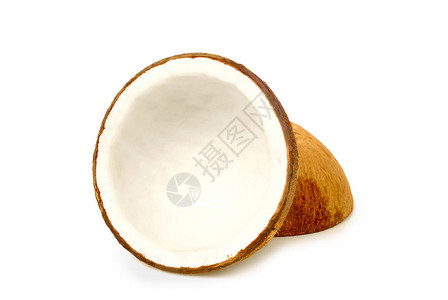 白色背景上的干椰子带有剪切路径图片