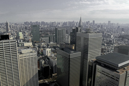 在新宿的高层建筑组以凉图片