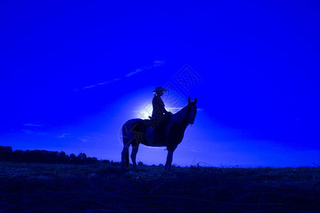 剪影女牛仔在日落时在西部开阔的平原上骑着蓝色图片