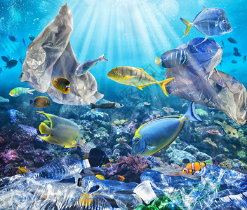 游鱼用漂浮袋游泳全球范围内的海洋塑料污图片