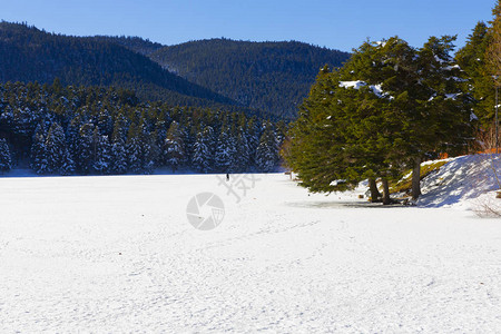 Abant湖冬季时间Abant湖的屋图片