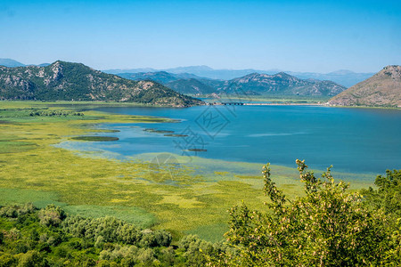 黑山的Skadar湖湿图片
