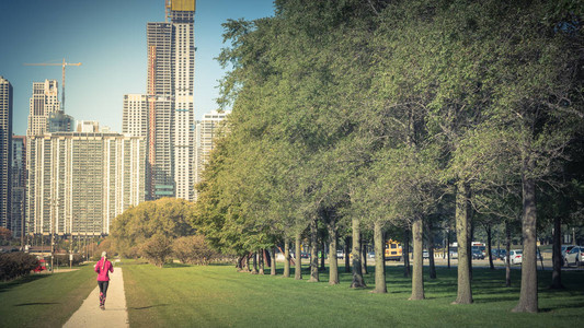 芝加哥市中心的美丽公园图片