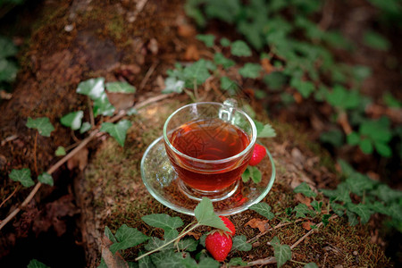 水果红茶与野生浆果在玻璃杯中背景
