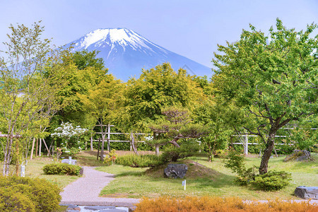 美丽的花园的景色富吉图片