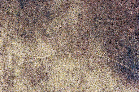 夏天海滩的沙纹特写夏天海滩湿的创辉沙纹特写图片
