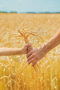 带小孩的男人手里握着小麦子有选择图片