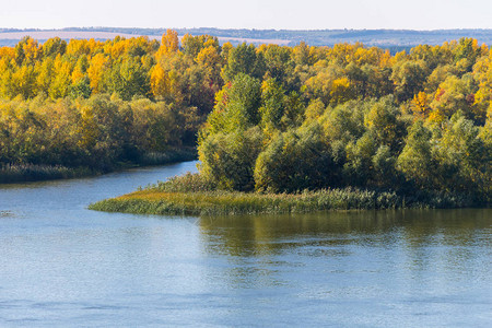 在河边的五颜六色的秋天树秋季景观图片