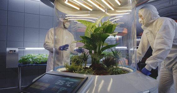 中草药种植基地与火星基地实验室中的植物孵化器合作的中度背景