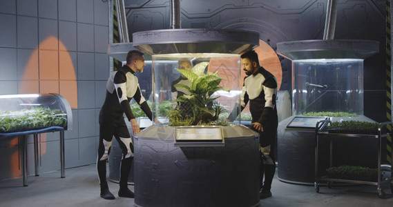 中草药种植基地中镜头的天文生物学家对火星基地植物孵化器背景