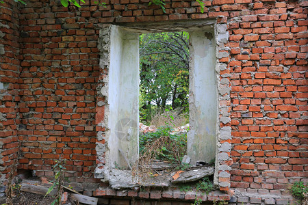 森林中旧拆迁建筑窗框图片
