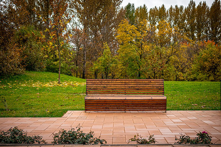 秋天公园的座椅公园的背景图片