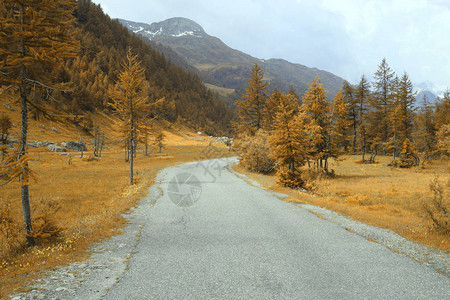 山上的一条空洞的道路上面图片