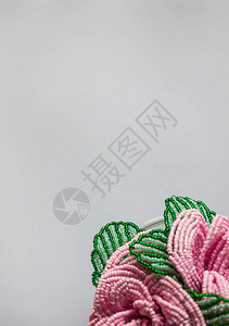 白色背景底部的串珠花束白色背景上的花朵白色图片