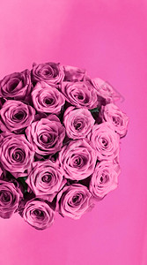 山谷鲜花盛开盛开的玫瑰鲜花和情人节礼物概念背景