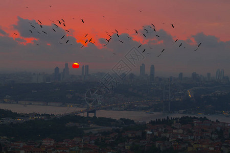 伊斯坦布尔博斯普鲁斯海峡大桥日出时的照片图片