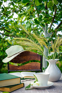 一个带茶的杯子一台笔记本电脑一台电脑夏日早晨花园里的一张书柜一个工作的地方一个自图片