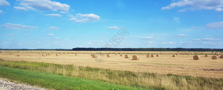 美丽的夏季风景干图片