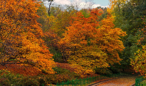老公园的秋天秋天的风景图片