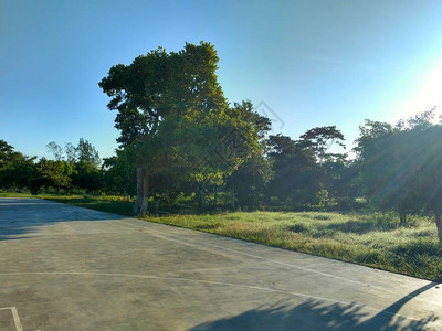 埃尔马斯谈战平法鹰：我们创造了很多机会，但缺乏特想进球的狠劲