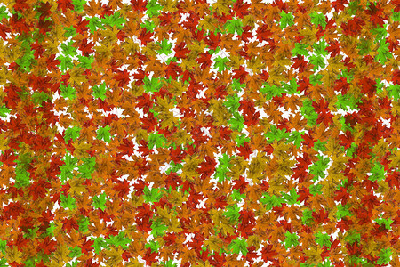 彩色枫叶小的顶视图桌子上躺着红黄橙等颜色的叶子秋天的背景图片