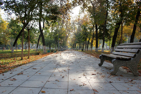 秋季城市公园场景秋天的城市秋天的城市场景图片