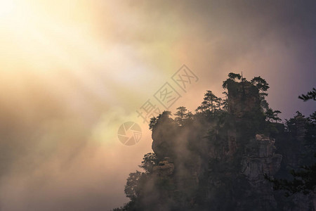 张家界阿凡达山自然公园天子山岩溶柱顶的图片