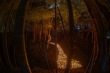 竹林点灯市民的小桌子城堡林背景图片
