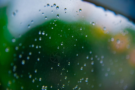 有绿树自然背景的玻璃上的雨滴浪漫片场景内容彩色雨滴图片