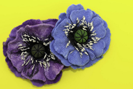 黄色背景的鲜花紫花和蓝色花朵图片