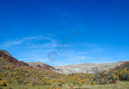 山丘上的绿色草地和蓝天秋日图片