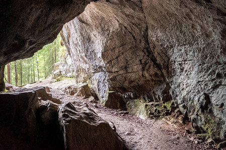 从洞穴到洞壁的森林和石头的纹理古代洞穴是古图片