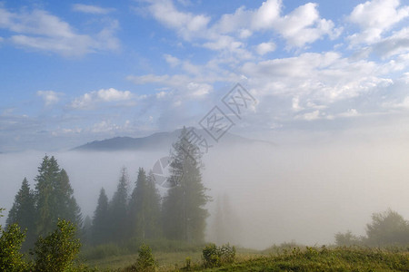 朦胧的风景喀尔巴阡山脉的晨雾日出高图片