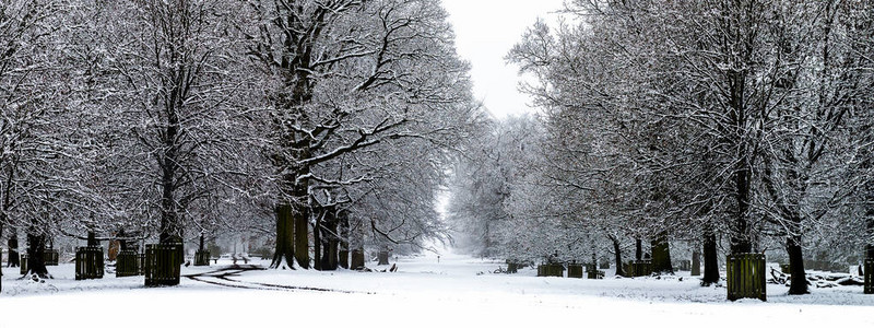 在英国格兰下雪图片