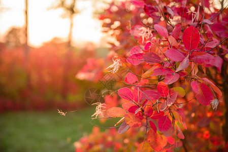 美丽的秋天风景图片