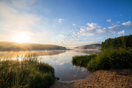 夏季日出时湖边雾密的湖边前方图片