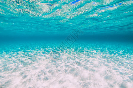 热带蓝色海洋夏威图片