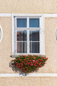奥地利维也纳有红色多彩鲜花的住宅窗户校图片