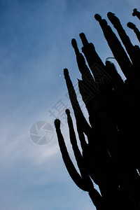约惠七夕在哥伦比亚威拉的Tatacoa沙漠中背景