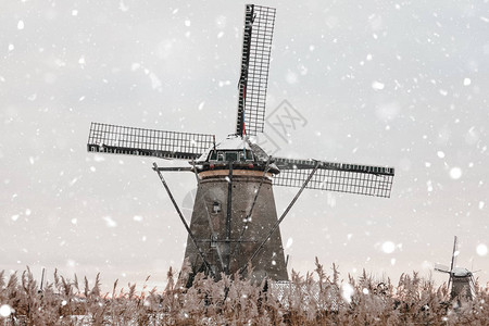 荷兰Kinderdijk的雪冬风车老旧农村风车景观图片