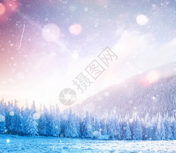 神秘的冬季景观雄伟的山脉在冬天神奇的冬天白雪覆盖的树照片贺卡散景灯光效果背景