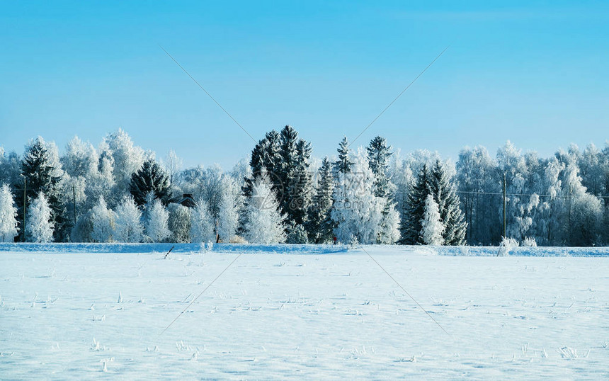 有雪的冬天路在芬兰欧洲拉普兰景观骑行期间沿高速公路的森林白雪皑的旅行冷车道在北罗瓦涅米村的芬兰高速公路上行驶图片