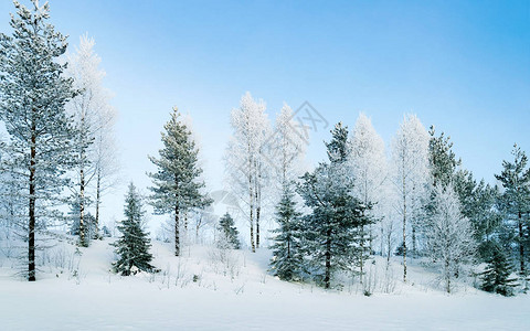 有雪的冬天路在芬兰欧洲拉普兰景观骑行期间沿高速公路的森林白雪皑的旅行冷车道在北罗瓦涅米村的芬兰高速公路上行驶图片